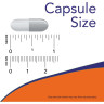 Коэнзим NOW FOODS RED YEAST RICE WITH CoQ10, 60 капсул NS3321
